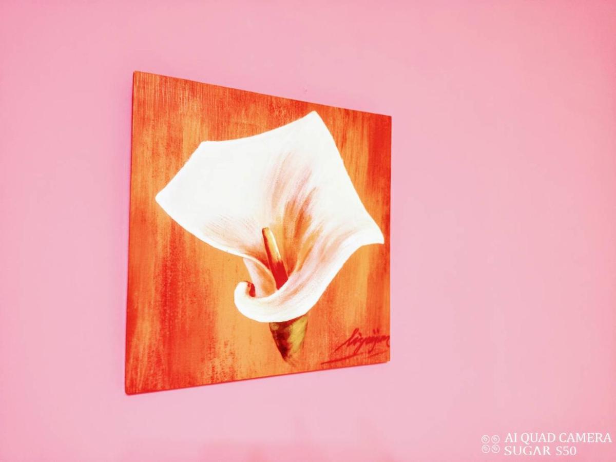 ซิลล์ โฮมสเตย์ จี๋อัน ภายนอก รูปภาพ